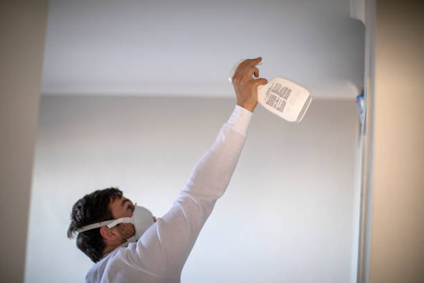 Best Office Mold Removal Services  in Newpt, OR