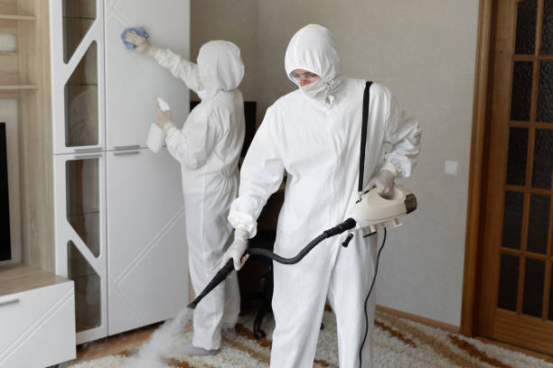 Best Residential Mold Removal  in Newpt, OR
