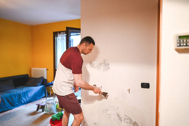 Best Affordable Mold Removal  in Newpt, OR